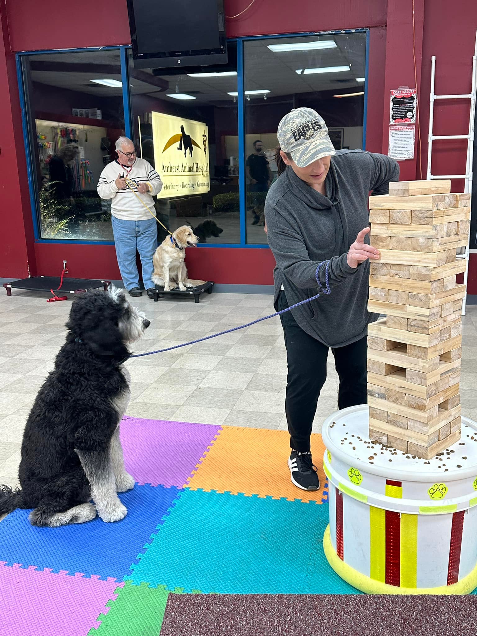 dog watching owner play jenga