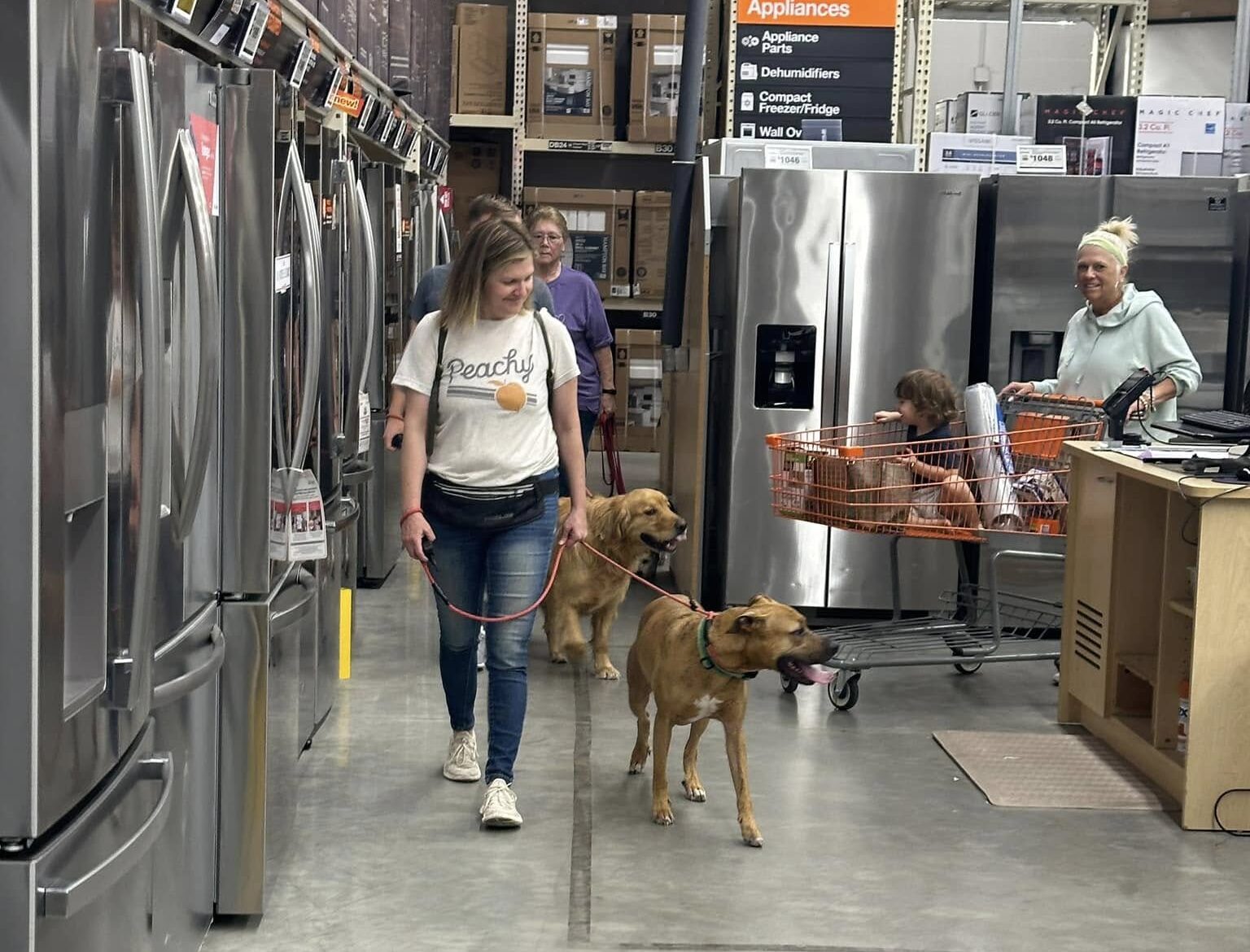 Dogs practicing socializing in home depot during training
