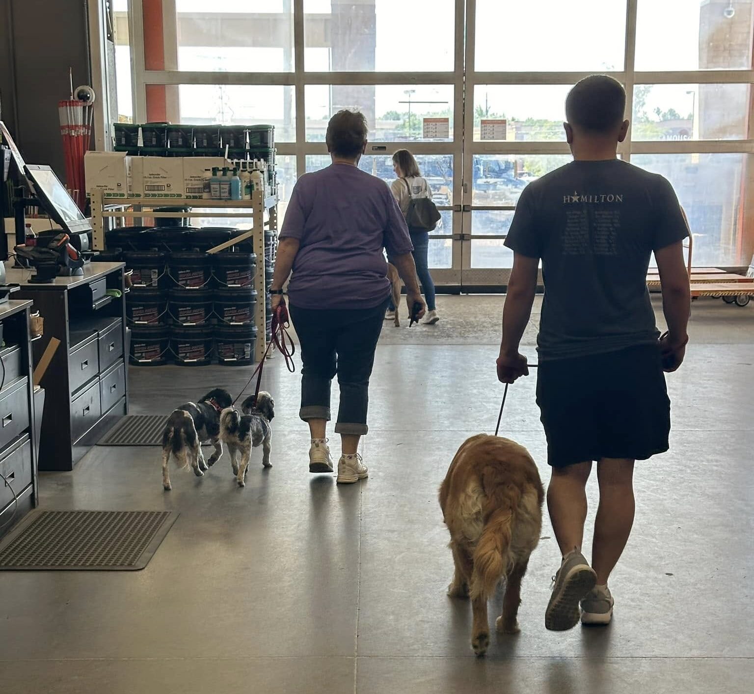 Dogs practicing in stimulating environment with trainer