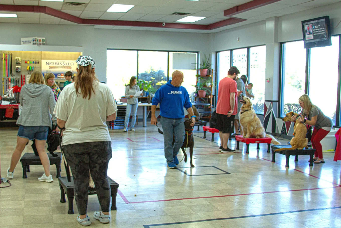 Group dog training classes at SMS Cleveland Facility with owners