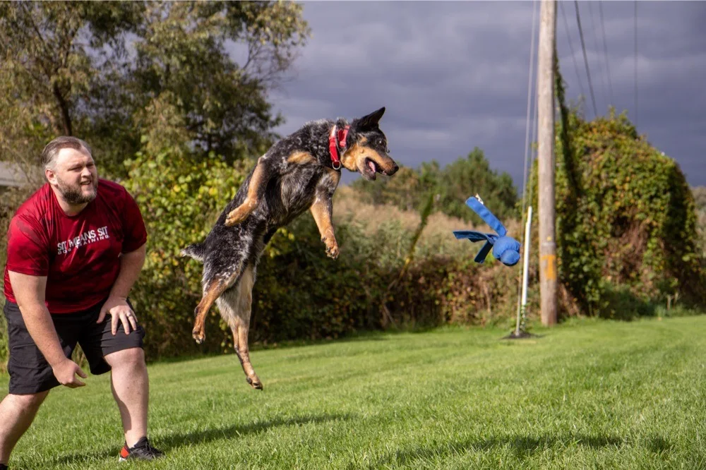 Sit Means Sit trainer playing fetch with dog outside
